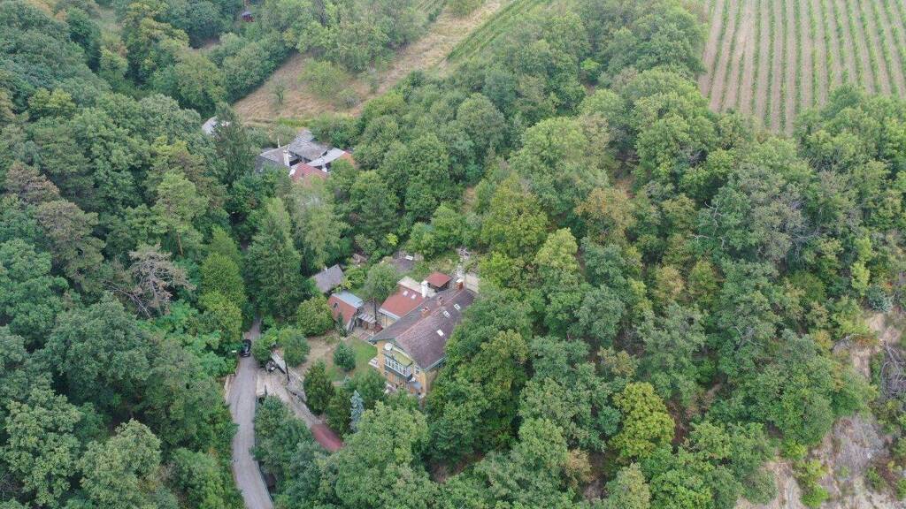 Einfamilienhaus zum Kauf 1.990.000 € 11 Zimmer 272,1 m² Wien 1190