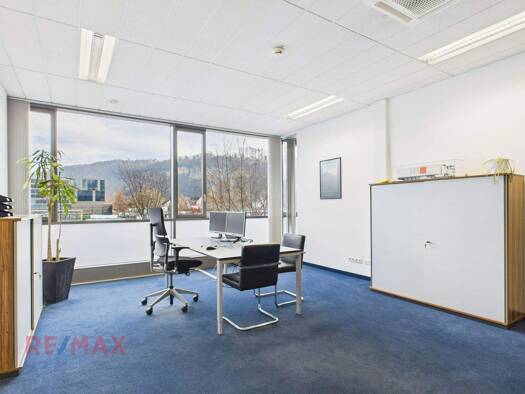 Bürofläche zur Miete 739 m² Bürofläche Kapfweg 18+6 Feldkirch / Tosters 6800