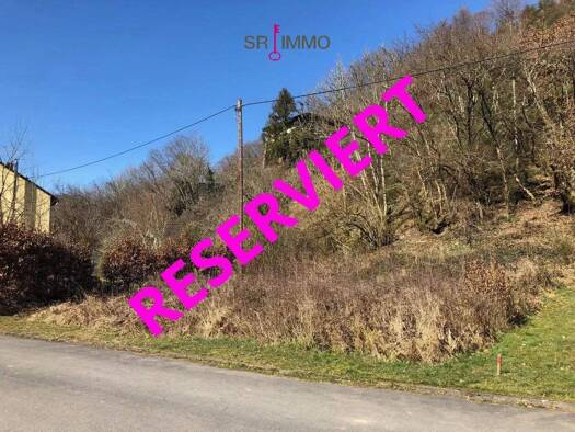 Grundstück zum Kauf 39.000 € 285 m² Grundstück Keppeshausen 54673