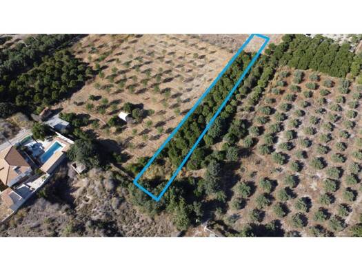 Acker-/Waldstück zum Kauf 7.500 € Cantoria 04850