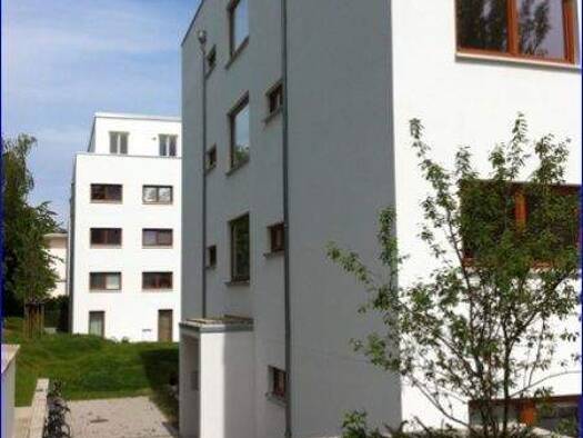 Wohnung zur Miete 295 € 1 Zimmer 20,2 m² 1. Geschoss August-Bebel-Straße 17B Strehlen Dresden 01219