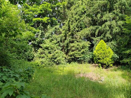 Grundstück zum Kauf 770 m² Grundstück Merzdorf Riesa 01591