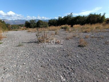 Land-/Forstwirtschaft zum Kauf 248.000 € Buzdohanj