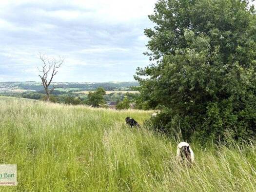 Grundstück zum Kauf 239.800 € 1.038 m² Grundstück Kirf 54441