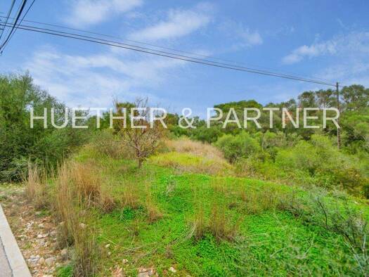 Gewerbegrundstück zum Kauf 320.000 € 2.546 m² Grundstück Sant Llorenç Des Cardassar 07530