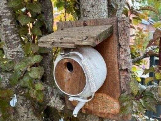 Bungalow zum Kauf provisionsfrei 422.000 € 4 Zimmer 160 m² 1.370 m² Grundstück frei ab 01.03.2026 Mittegroßefehn Großefehn 26629