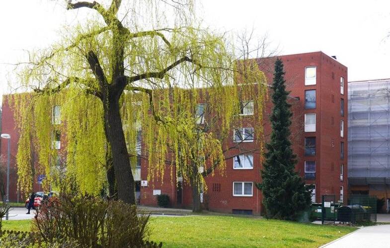 Wohnung zur Miete 696 € 3 Zimmer 77,3 m² 3. Geschoss frei ab 20.06.2025 Graf-von-Moltke-Straße 8 Kaltenmoor Lüneburg 21337