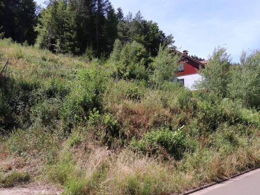 Grundstück zum Kauf 40.000 € 1.355 m² Grundstück Horbach 66851