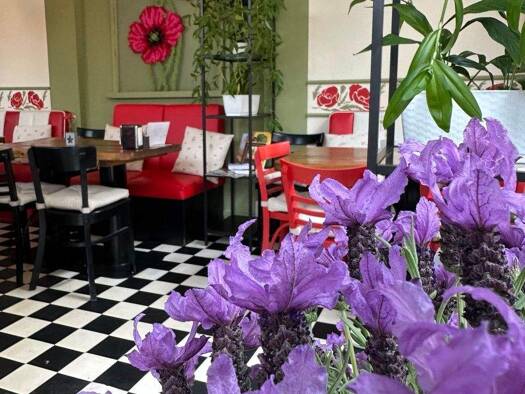 Gastronomie/Hotel zur Miete provisionsfrei 600 € 156 m² Gastrofläche Stadtmitte Plauen 08523