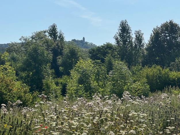 Grundstück zum Kauf 1.800.000 € 4.993 m² Grundstück frei ab sofort Eddigehausen Bovenden 37120