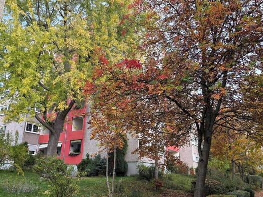 Wohnung zum Kauf 229.000 € 3 Zimmer 78 m² 4. Geschoss frei ab sofort Hirschlanden Ditzingen 71254