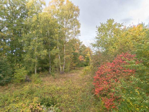 Grundstück zum Kauf 1.600.000 € 3.916 m² Grundstück frei ab sofort Quickborn 25451