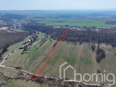 Land-/Forstwirtschaft zum Kauf 4.999 € 8.100 m² Grundstück Grillenberg Sangerhausen 06526