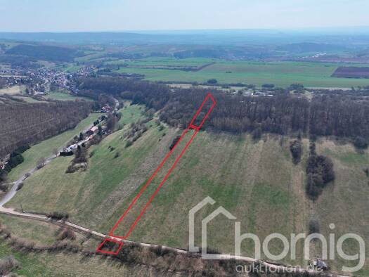 Land-/Forstwirtschaft zum Kauf 4.999 € 8.100 m² Grundstück Grillenberg Sangerhausen 06526