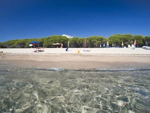 Grundstück zum Kauf 59.000 € 1.000 m² Grundstück Lotzorai 08040