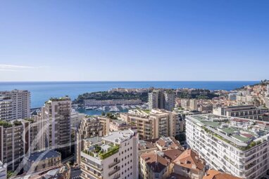 Studio zum Kauf provisionsfrei 5.800.000 € 3 Zimmer 95 m² 17. Geschoss Monaco 98000