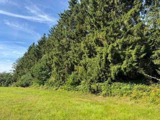 Land-/Forstwirtschaft zum Kauf 20.000 € 6.331 m² Grundstück Markt 9 Eutin 23701
