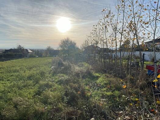 Grundstück zum Kauf provisionsfrei 499.000 € 840 m² Grundstück Neusiedl am See 7100