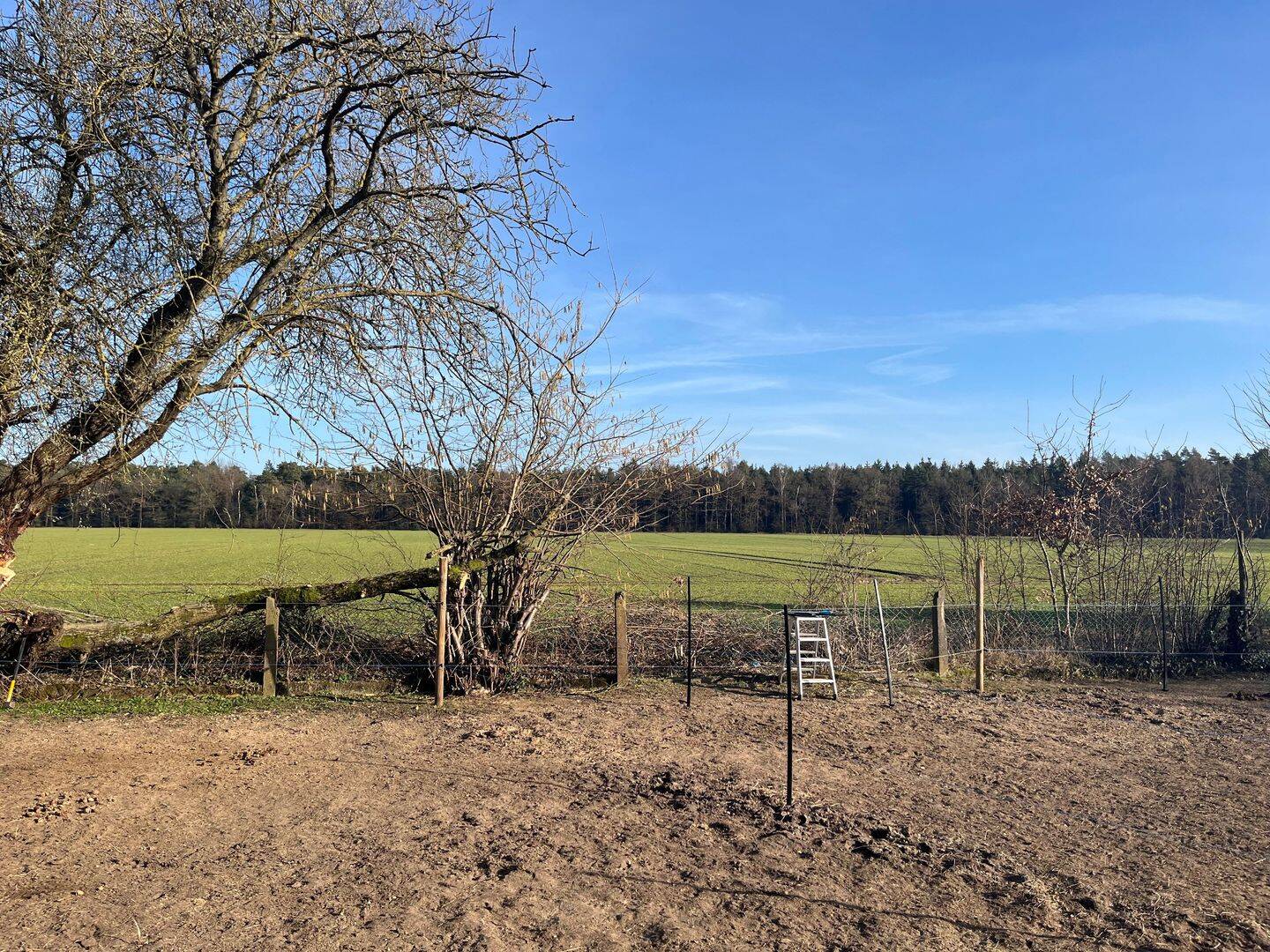 Mehrfamilienhaus zum Kauf – pohled 5