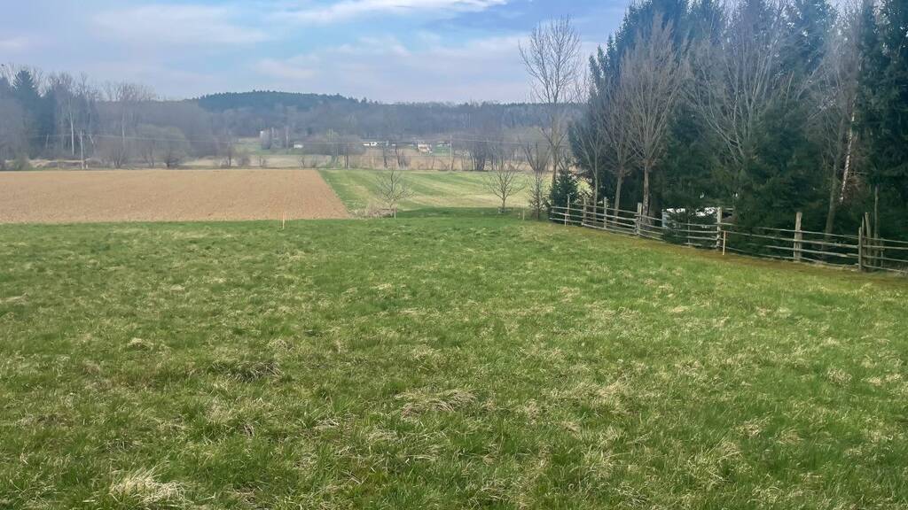 Grundstück zum Kauf 59.500 € 1.332 m² Grundstück Stegersbach 7551