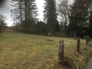 Stadthaus zum Kauf provisionsfrei 310.000 € 4 Zimmer 110 m² 1.367 m² Grundstück Wurzbach Wurzbach 07343