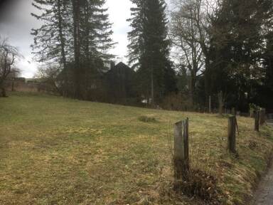 Stadthaus zum Kauf provisionsfrei 310.000 € 4 Zimmer 110 m² 1.367 m² Grundstück Wurzbach Wurzbach 07343