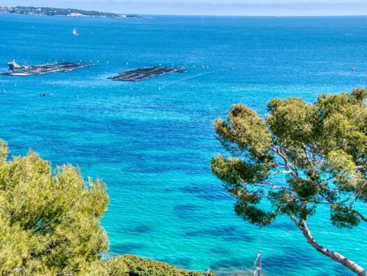 Wohnung zum Kauf 1.490.000 € 3 Zimmer 180 m² Centre-ville Cannes 06400