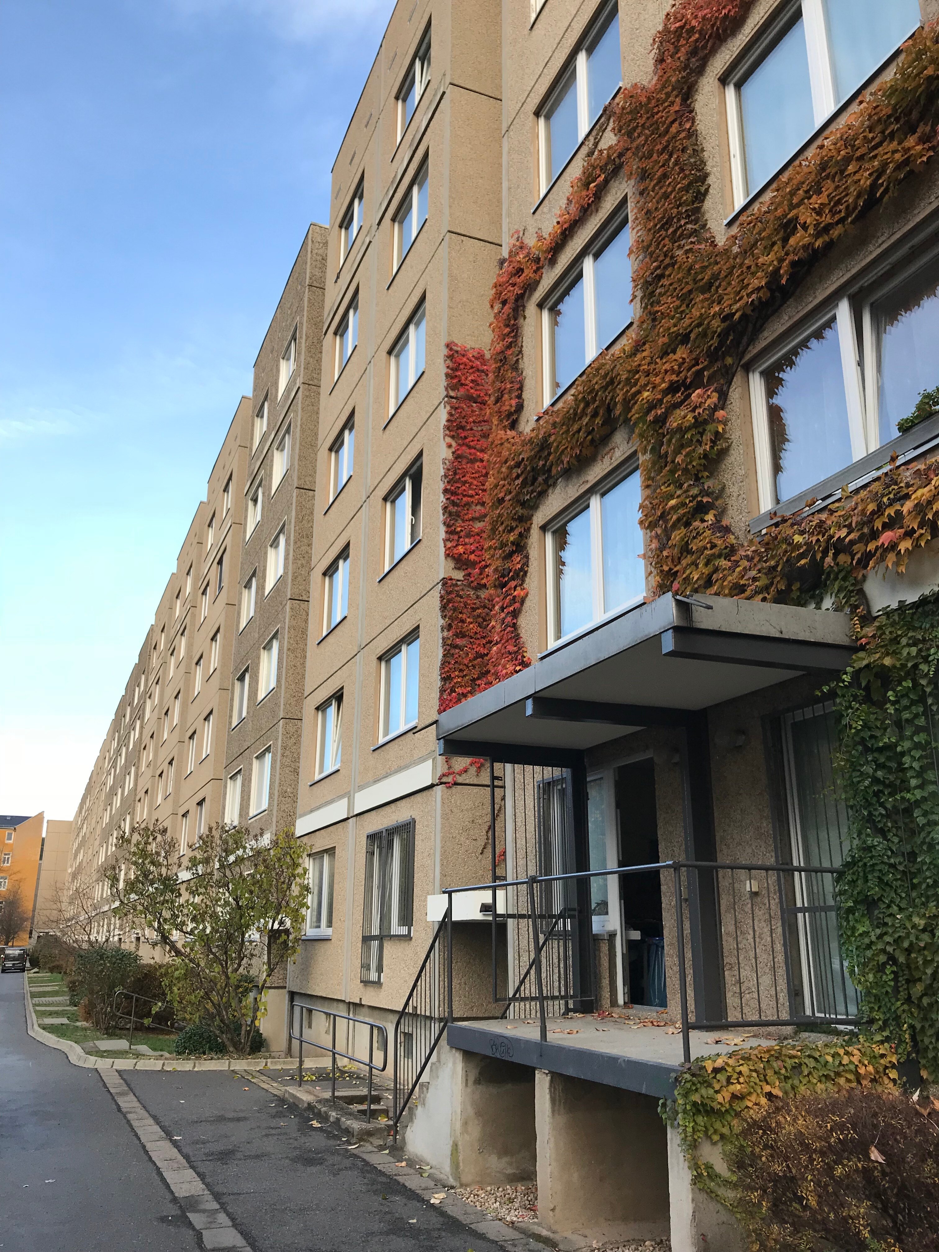 Wohnung zur Miete 370 € 3 Zimmer 60,6 m²<br/>Wohnfläche 3.<br/>Geschoss ab sofort<br/>Verfügbarkeit Schäferstraße 31 Friedrichstadt (Schäferstr.) Dresden 01067