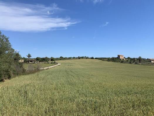 Grundstück zum Kauf 379.000 € 17.690 m² Grundstück Vilafranca de Bonany 07250