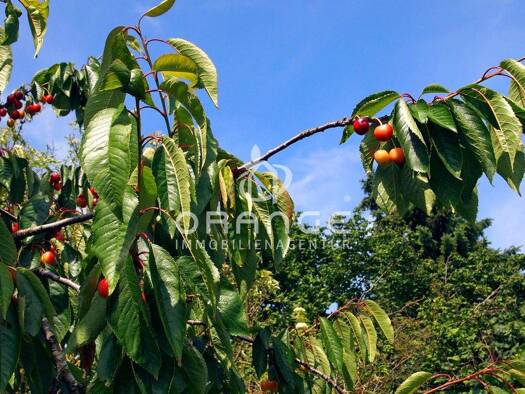Freizeitgrundstück zum Kauf provisionsfrei 99.000 € 20.750 m² Grundstück Medow Goldberg 19399