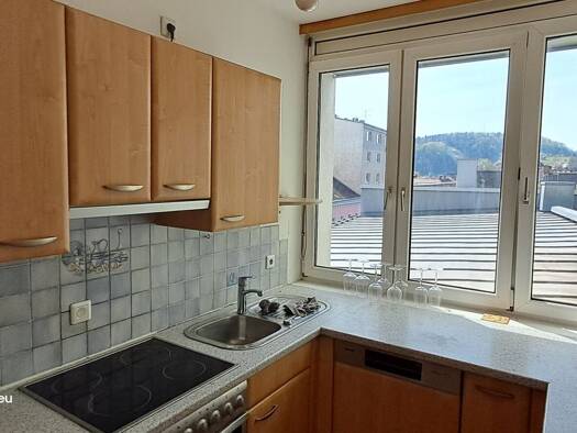 Wohnung zum Kauf 240.000 € 3 Zimmer 78 m² Pöstlingberg Linz 4040
