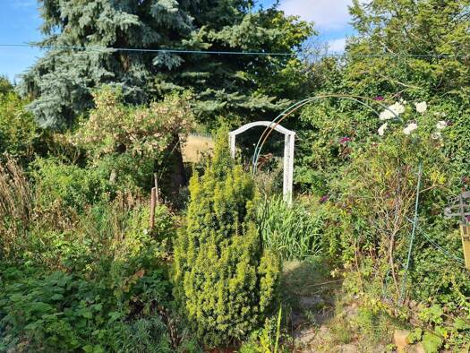 Einfamilienhaus zum Kauf 89.999 € 5 Zimmer 147 m² 765 m² Grundstück Gorden Gorden-Staupitz 03238