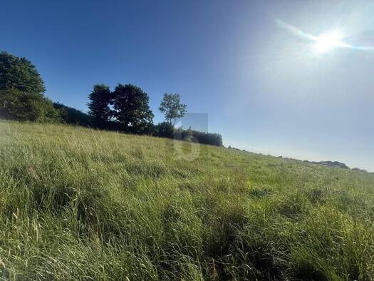 Grundstück zum Kauf 187.000 € 1.270 m² Grundstück Thomsdorf Riepsdorf 23738