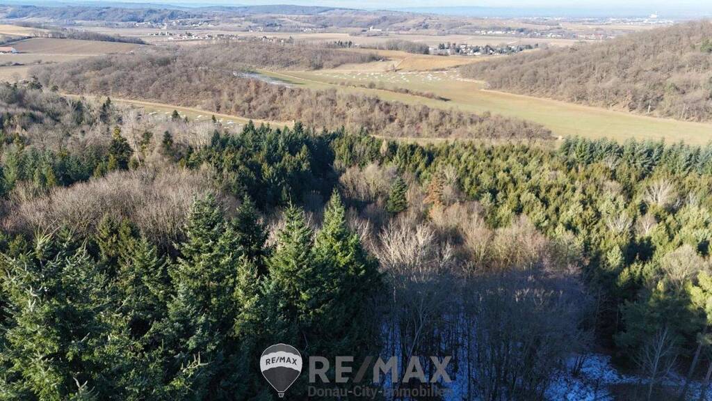 Forstwirtschaft zum Kauf 41.940 € 13.980 m² Grundstück Michelndorf 3452