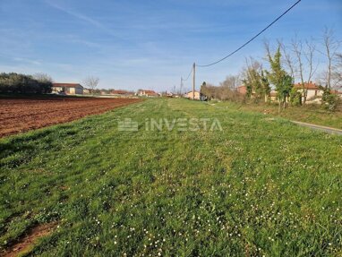 Land-/Forstwirtschaft zum Kauf 103.500 € Marcana center