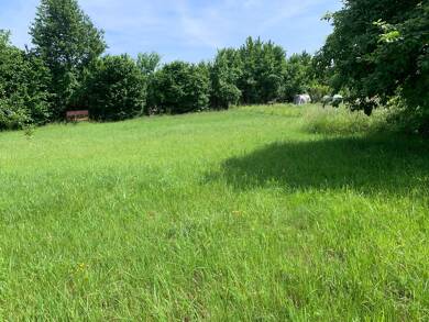 Grundstück zum Kauf 1.560 m² Grundstück Weilersbach Weilersbach 91365