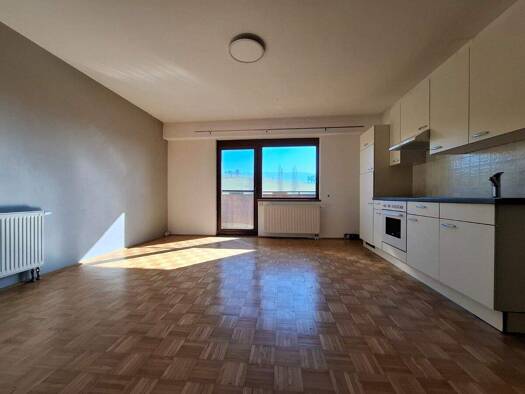 Wohnung zur Miete 720 € 2 Zimmer 93,1 m² Jägerberg Steyr 4400