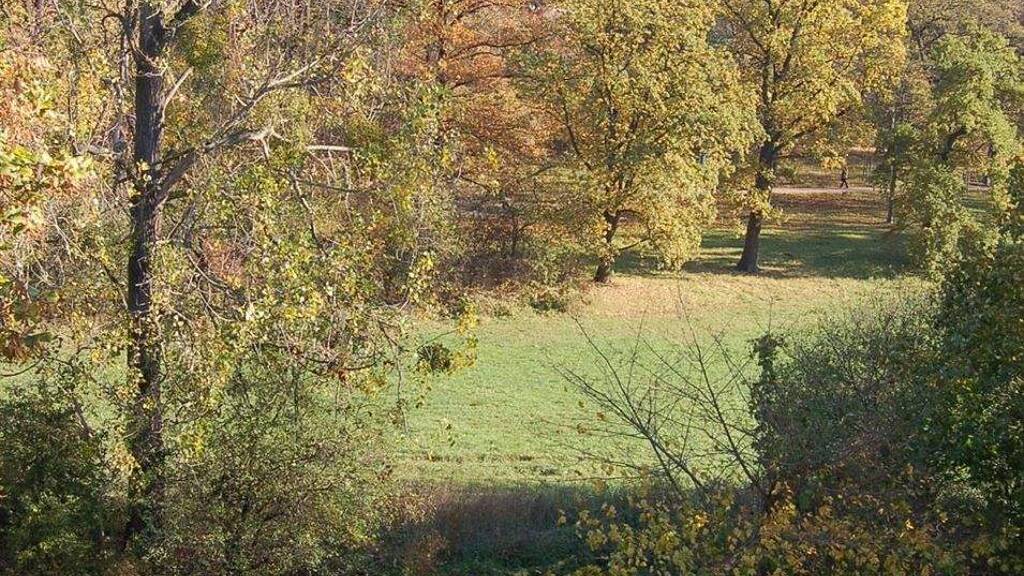 Wohnung zur Miete 530 € 3 Zimmer 88,1 m² frei ab 01.05.2026 Torgau 04860