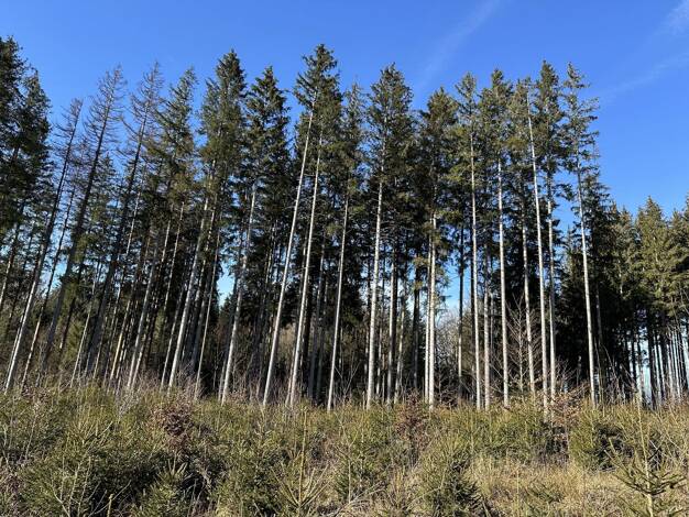 Land-/Forstwirtschaft zum Kauf 79.000 € 16.170 m² Grundstück Dießen 86911