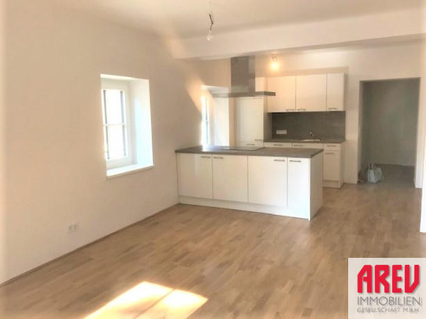 Wohnung zur Miete 512,53 € 2 Zimmer 62,4 m²<br/>Wohnfläche 1.<br/>Geschoss Rathausplatz 2 Kirchdorf an der Krems 4560