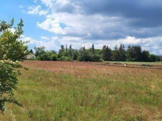 Grundstück zum Kauf provisionsfrei 64.900 € 763 m² Grundstück Freiwalde Schönwald 15910