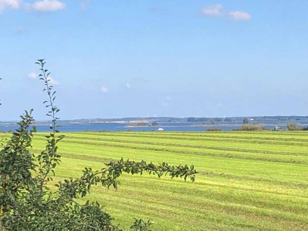 Einfamilienhaus zum Kauf 319.000 € 2 Zimmer 60 m² 650 m² Grundstück frei ab 01.07.2026 Fliemstorf Zierow 23968