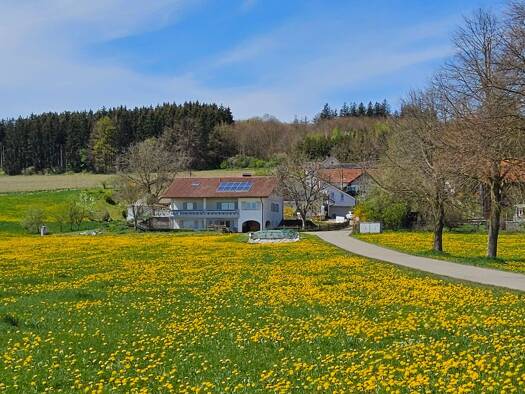 Einfamilienhaus zur Miete 2.850 € 10 Zimmer 285 m² 1.013 m² Grundstück frei ab sofort Beckstetten Jengen 86860