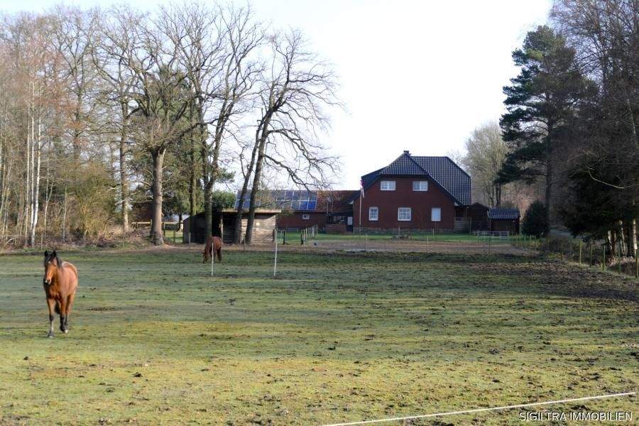 Immobilie in Merzen - Wohnen & Tierhaltung vereint - Gepflegte Immobilie mit großem Freiraum - Bild 4