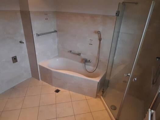 Wohnung zur Miete 1.040 € 3 Zimmer 87 m² 1 Geschosse frei ab sofort Rheinwiese 16 Bad Säckingen 79713