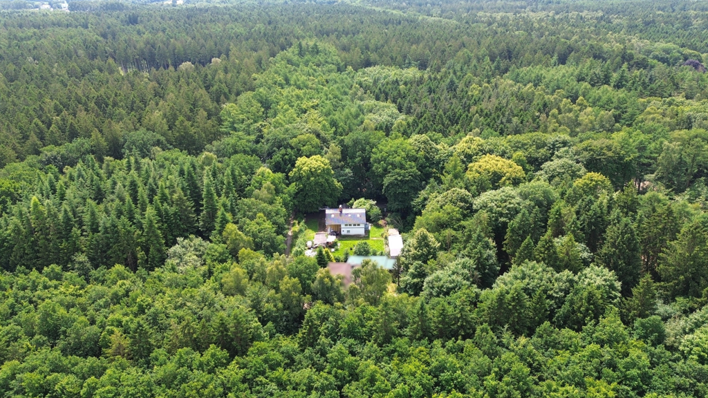 Einfamilienhaus zum Kauf 299.000 € 2 Zimmer 80 m² 1.036 m² Grundstück Weddingstedt 25795