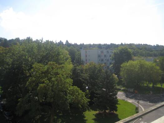 Wohnung zur Miete 750 € 2 Zimmer 77,5 m² 5. Geschoss frei ab sofort Lindleinsmühle Würzburg 97078