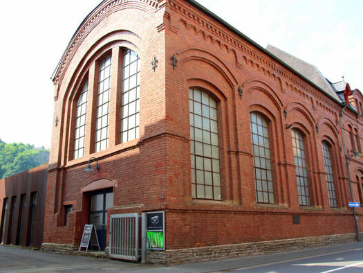 Medizinisches Gebäude zum Kauf 998.000 € 11 Zimmer Traben Traben-Trarbach 56841