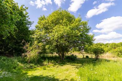 Grundstück zum Kauf 50.000 € 1.558 m² Grundstück Böddenstedt Salzwedel 29410