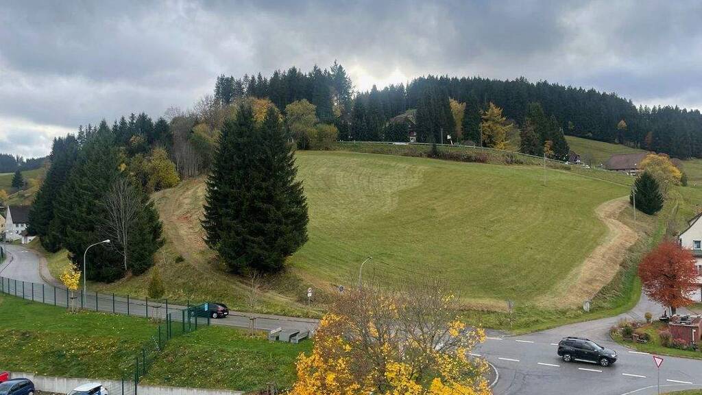 Wohnung zur Miete 620 € 3 Zimmer 71 m² frei ab sofort Carl-Diem-Straße 18 Stadtgebiet Furtwangen im Schwarzwald 78120